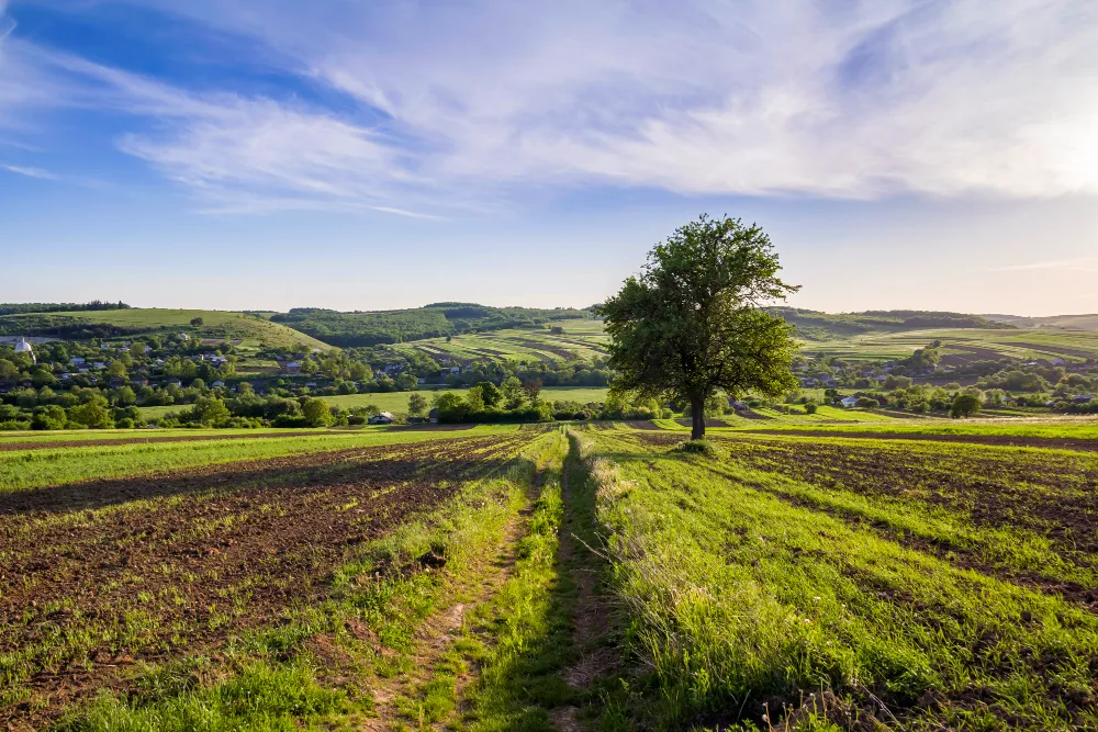 Abogados servidumbres Granada